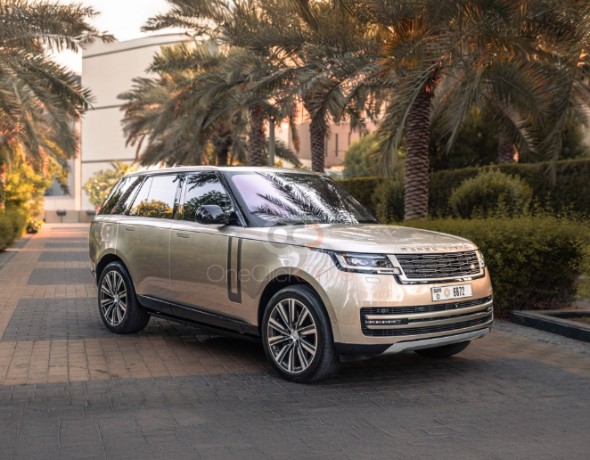 Esplora Dubai con Stile: Dal Volante al Deserto