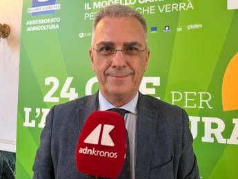 Alimenti, Minelli: “La dieta mediterranea è uno strumento universale di prevenzione”