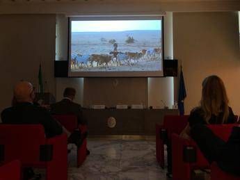 Alimenti, presentato docufilm ‘World Without Cows’: un mondo senza allevamenti