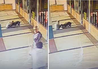 Donna prende a morsi un pitbull per salvare il suo cane: il video choc
