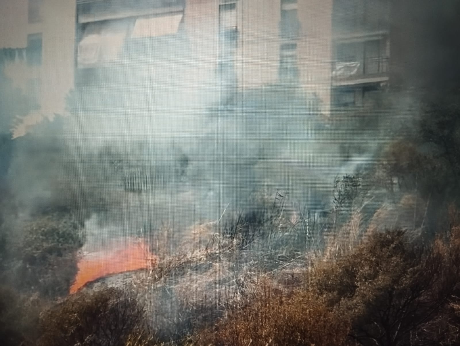 Caltanissetta. Incendio nel Parco Balate: fiamme divorano alberi e macchia mediterranea