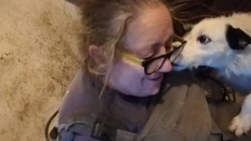 Muore e lascia 18 compagni di vita, lanciata una raccolta fondi per salvare gli animali di Anna