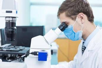 Tumori: ricerca ematologica tra qualità della vita e Ai, a Roma meeting internazionale Ail-Gimema