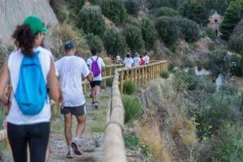 Tumori, torna ‘Fitwalking for Ail’, camminata solidale per i pazienti ematologici
