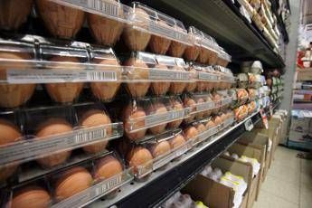 Uova in frigorifero, la ‘scoperta’ del Regno Unito…