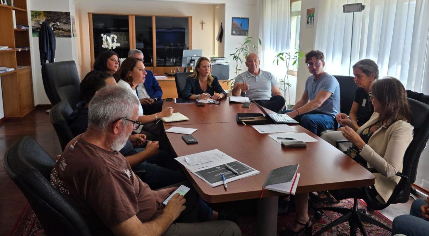 Sicilia. Formica di fuoco, campagna di informazione e un’app per le segnalazioni. Savarino: «Dalla Regione attenzione continua al fenomeno»