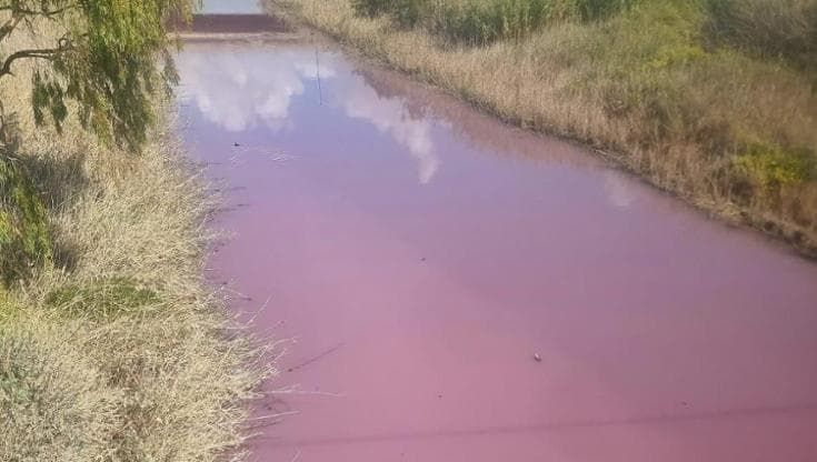 Acqua con patina rosa e cattivo odore nel fiume Gela. Associazioni presentano denuncia. Il sen. Lorefice (M5S): “Presentata interrogazione ai Ministeri”
