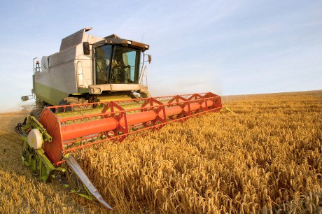 Siccità, dalla Regione Siciliana 30 milioni per i produttori cerealicoli. Sammartino: «Una boccata d’ossigeno»