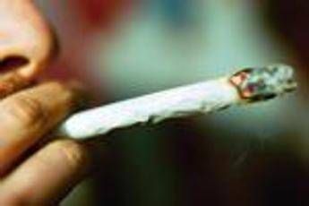 Droga, San Patrignano: “Primo step cannabis e binge drinking, poi si passa a quelle sintetiche”