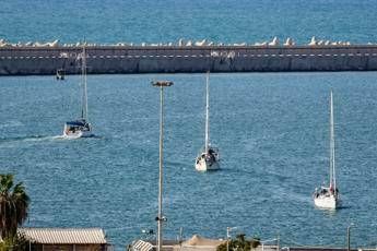 Flotilla, 46 italiani fermati da Israele. Dal carcere all’espulsione, cosa succede