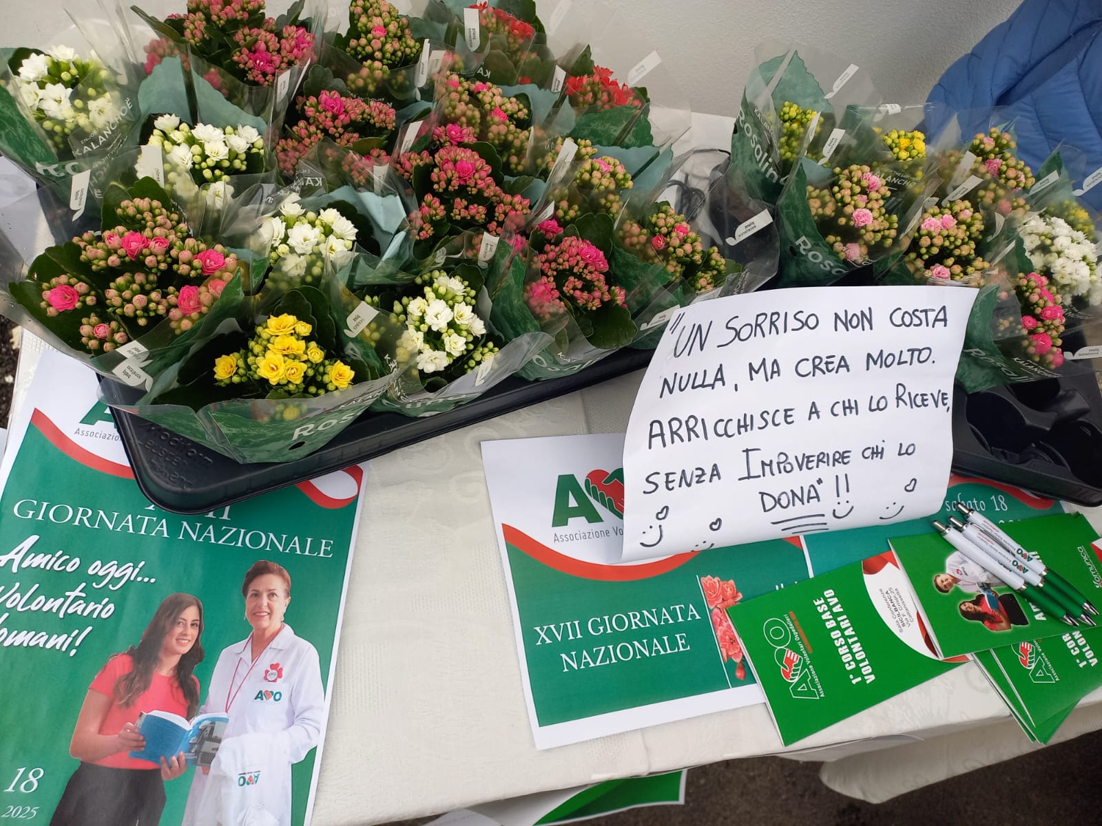 Caltanissetta. Soddisfazione dell’Associazione Volontari Ospedalieri per la riuscita della XVII Giornata nazionale Avo