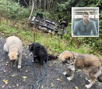 Intrappolato su Vancouver Island, salvo grazie ai satelliti di Musk