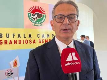 Made in Italy, Arcadia: “Il gusto della mozzarella di bufala Campana Dop conquista web, 37 milioni utenti in 2 anni”