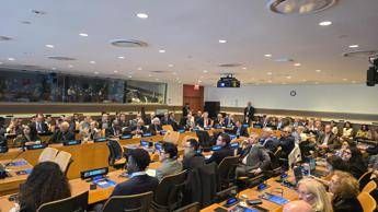 Mafie, ‘focus TikTok’: Fondazione Magna Grecia presenta uno studio pioniere