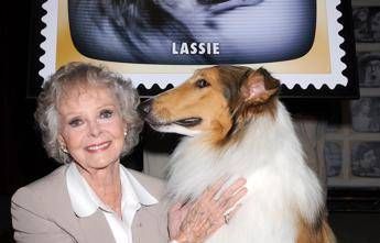 Morta June Lockhart, la mamma star di ‘Lassie’ aveva 100 anni