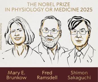 Nobel per la Medicina a Brunkow, Ramsdell e Sakaguchi per scoperte su sistema immunitario