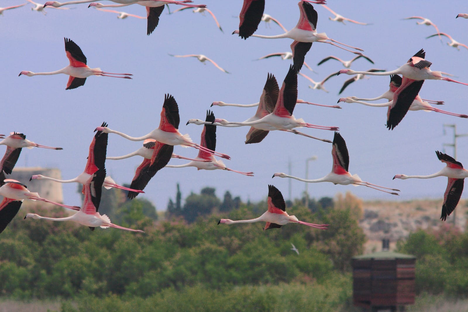 Sicilia, le aree protette della Regione a Didacta Trentino 2025. Un viaggio immersivo tra natura, educazione e biodiversità