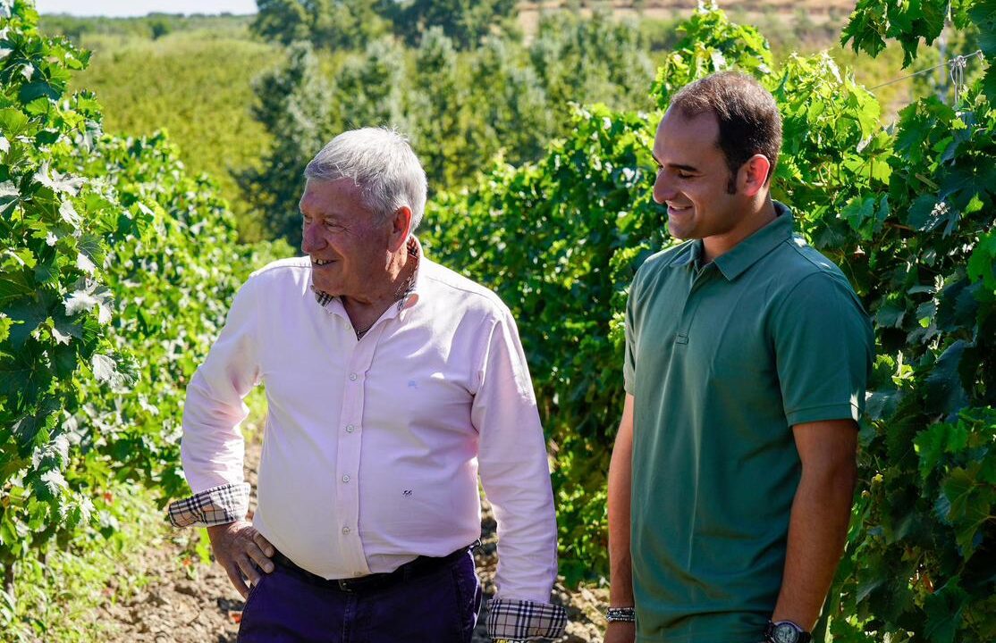 Tenute Navarra, si chiude la vendemmia 2025: un’annata di qualità e identità nel cuore di Butera