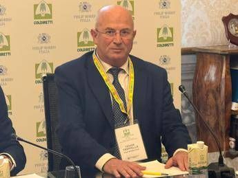 Tabacco, Trippella: “Con Filiera Tabacchicola Italiana prospettive per prossimi 10 anni”