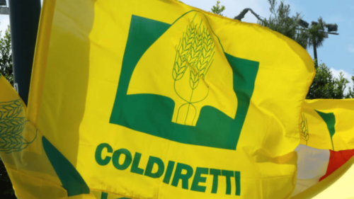 Caltanissetta. Coldiretti promuove “Weekend in giallo” con laboratori per  bambini in via Frà Giarratana