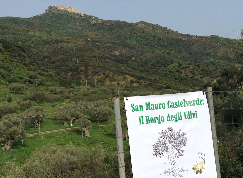 San Mauro Castelverde coltiva la pace nella 9ª Giornata Nazionale della “Camminata tra gli Olivi”: appuntamento il 26 ottobre