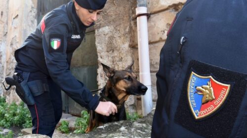 Contrasto alla droga nel Palermitano, 4 arresti