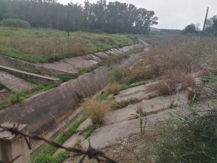 Coldiretti Sicilia: “Sull’acqua superato il limite della vergogna”