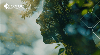 Ecoroe, da 50 anni trasforma sfide ambientali in soluzioni sostenibili