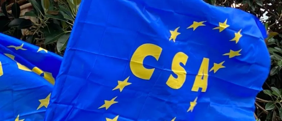 Sicilia. Part-time negli enti locali, Csa-Cisal a Commissione Bilancio Ars: “Aumentare le ore a 15 mila lavoratori”