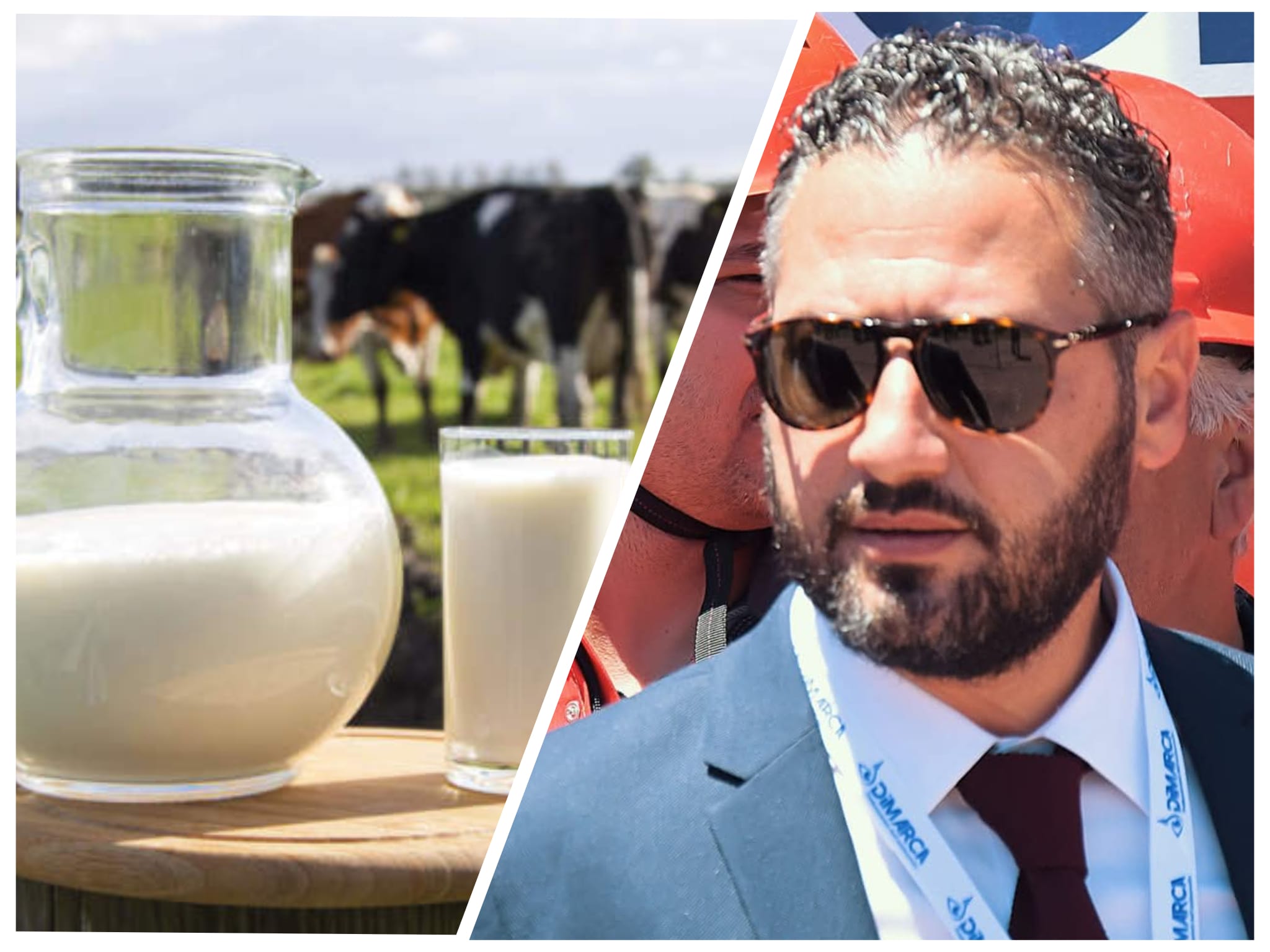 Latte, l’On. Scuvera (FdI) si schiera con gli allevatori: “Serve chiarezza immediata”