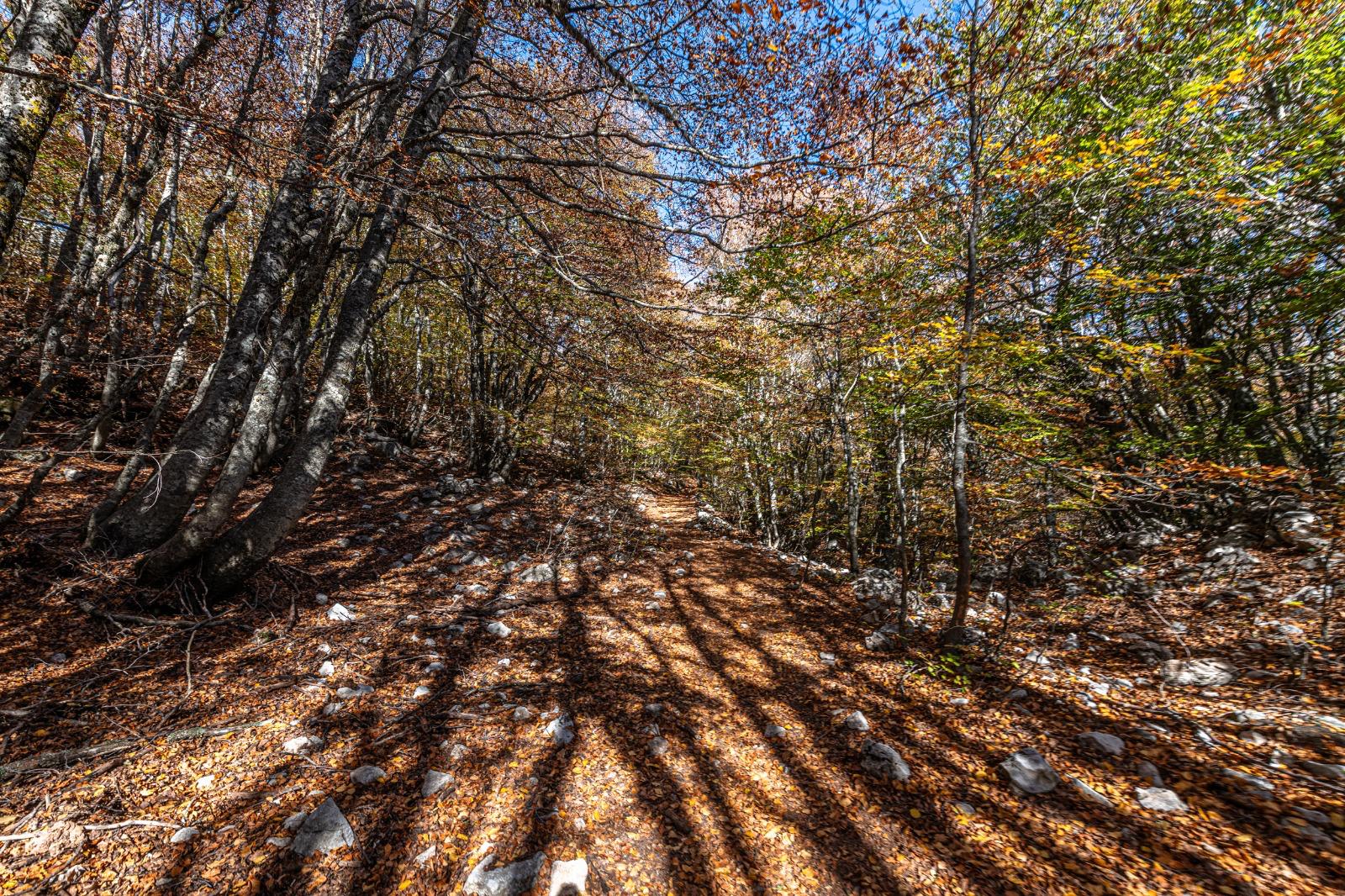 L’autunno per scoprire il Parco delle Madonie: paesaggi incantevoli e ricchezza della fauna