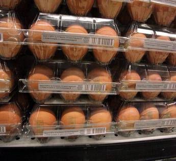 Quanti errori in cucina, dal frigo all’igiene: il decalogo dell’Iss per pasti sicuri