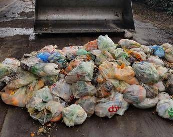 Rifiuti, Cic-Legambiente: alleanza strategica per potenziare il riciclo organico