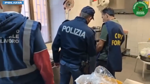 Blatte in cucina e un topo morto negli spogliatoi dei dipendenti, chiuso ristorante a Catania