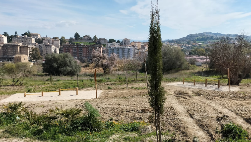 Caltanissetta. Legambiente, nuovi partner per l’Orto Sociale in via Angeli: il 13 novembre semina e piantumazione