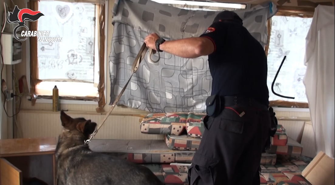 Operazione “White Sheep” dei Carabinieri, 5 arresti a Gela per spaccio di sostanze stupefacenti