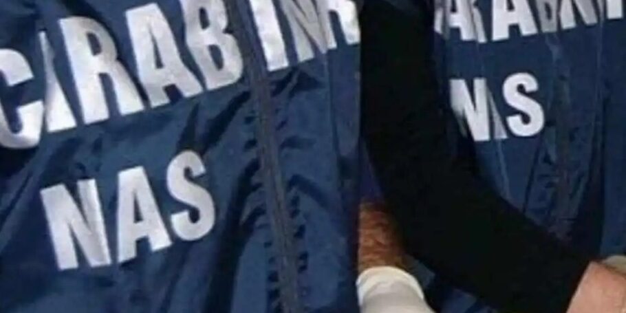 Pastori tedeschi tenuti in pessime condizioni, sequestrato un canile dai carabinieri del Nas di Catania