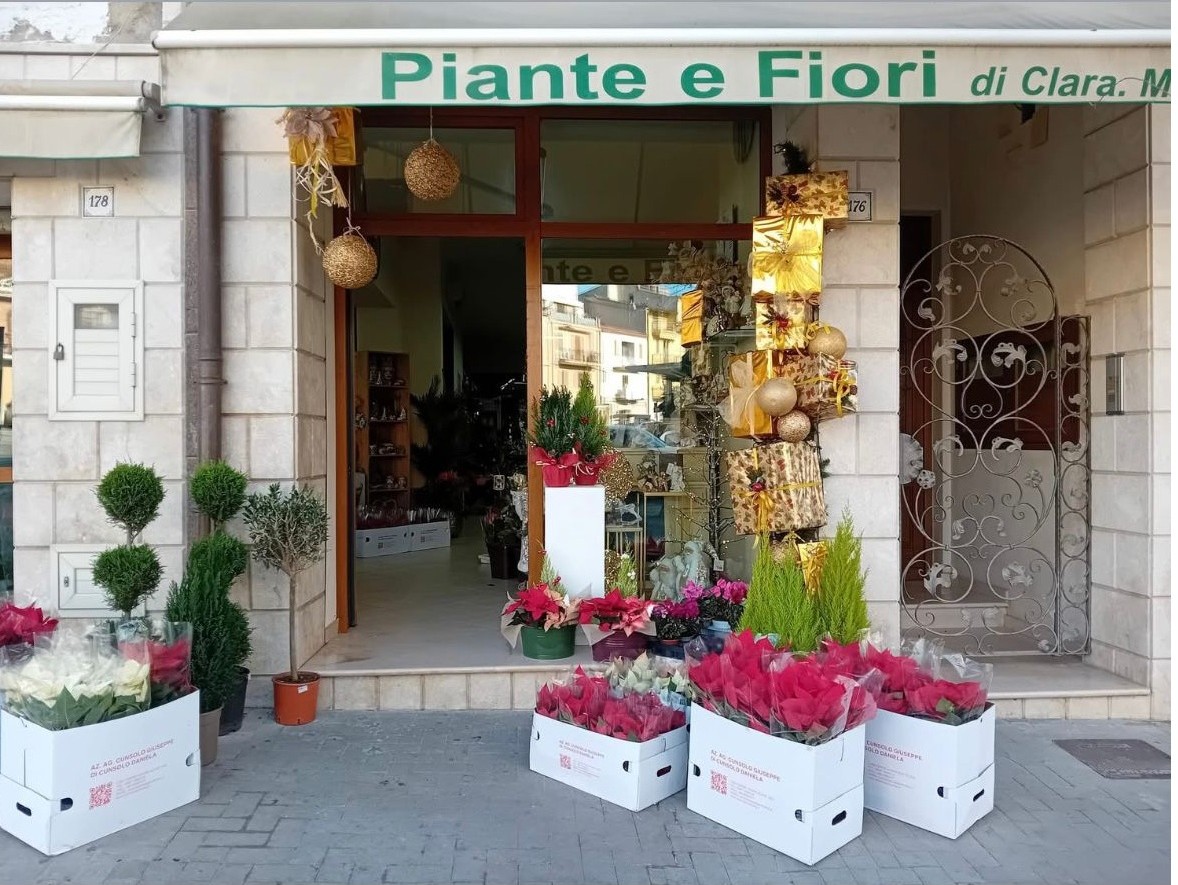 Santa Caterina. Concluso il Concorso delle vetrine natalizie più belle: ecco i vincitori