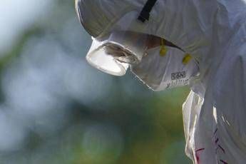 Aviaria, l’allarme dell’Ecdc: “In Europa più rischi per l’uomo”, cosa sta succedendo