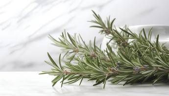 Buccia di limone, basilico e rosmarino: perché farli bollire e le proprietà ‘segrete’