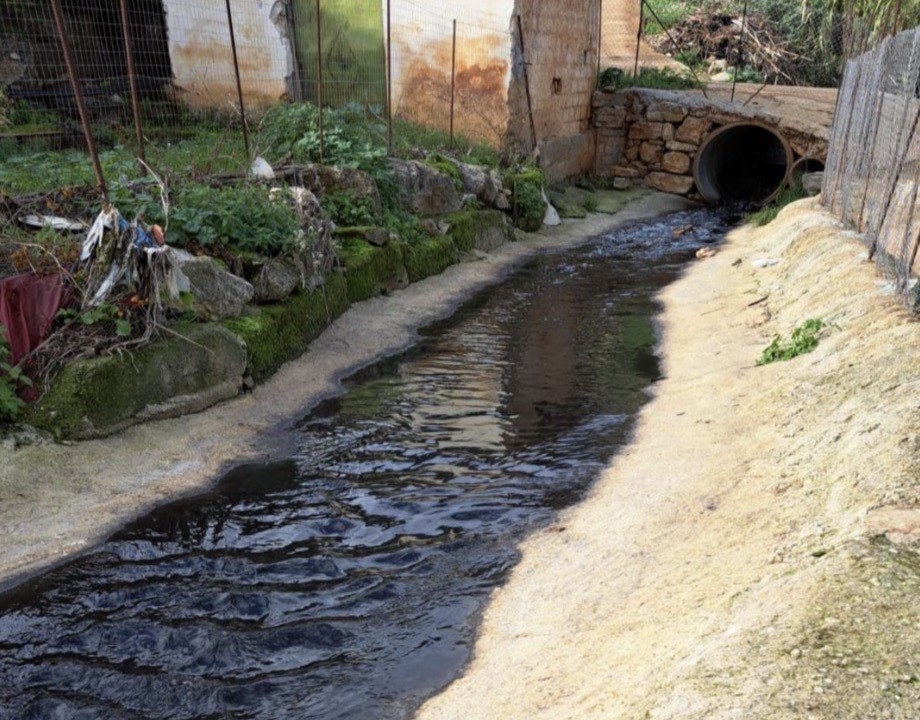 Corpo forestale, scoperti scarichi illeciti di tre oleifici nel Palermitano