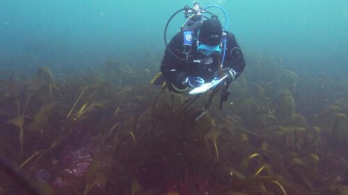 L’Instituto Cervantes di Palermo ospita l’incontro-dibattito “Corpi d’Acqua e Intersezioni Mediterranee”