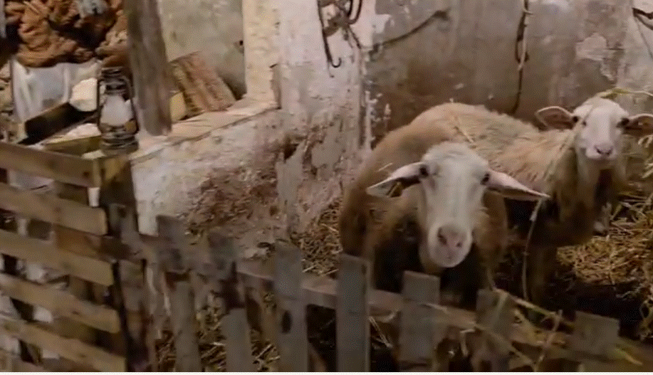 Mussomeli e il Presepe di Piazza della Repubblica