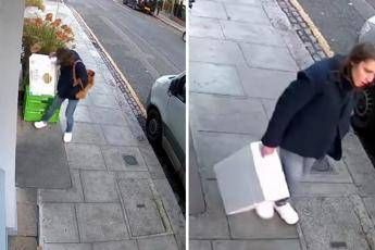 Londra, mistero della ‘ladra di langoustine’: rubati crostacei, manzo e orchidee rare