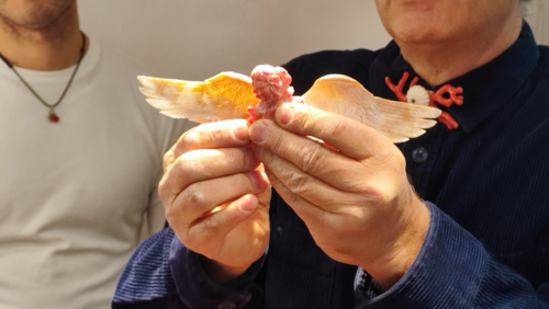 Trapani e l’oro rosso del Mediterraneo: un mese di eventi dedicati al corallo