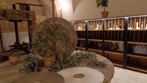 A San Mauro Castelverde nasce la “Banca dell’Olio delle Madonie”, un museo sensoriale nel cuore della Sicilia