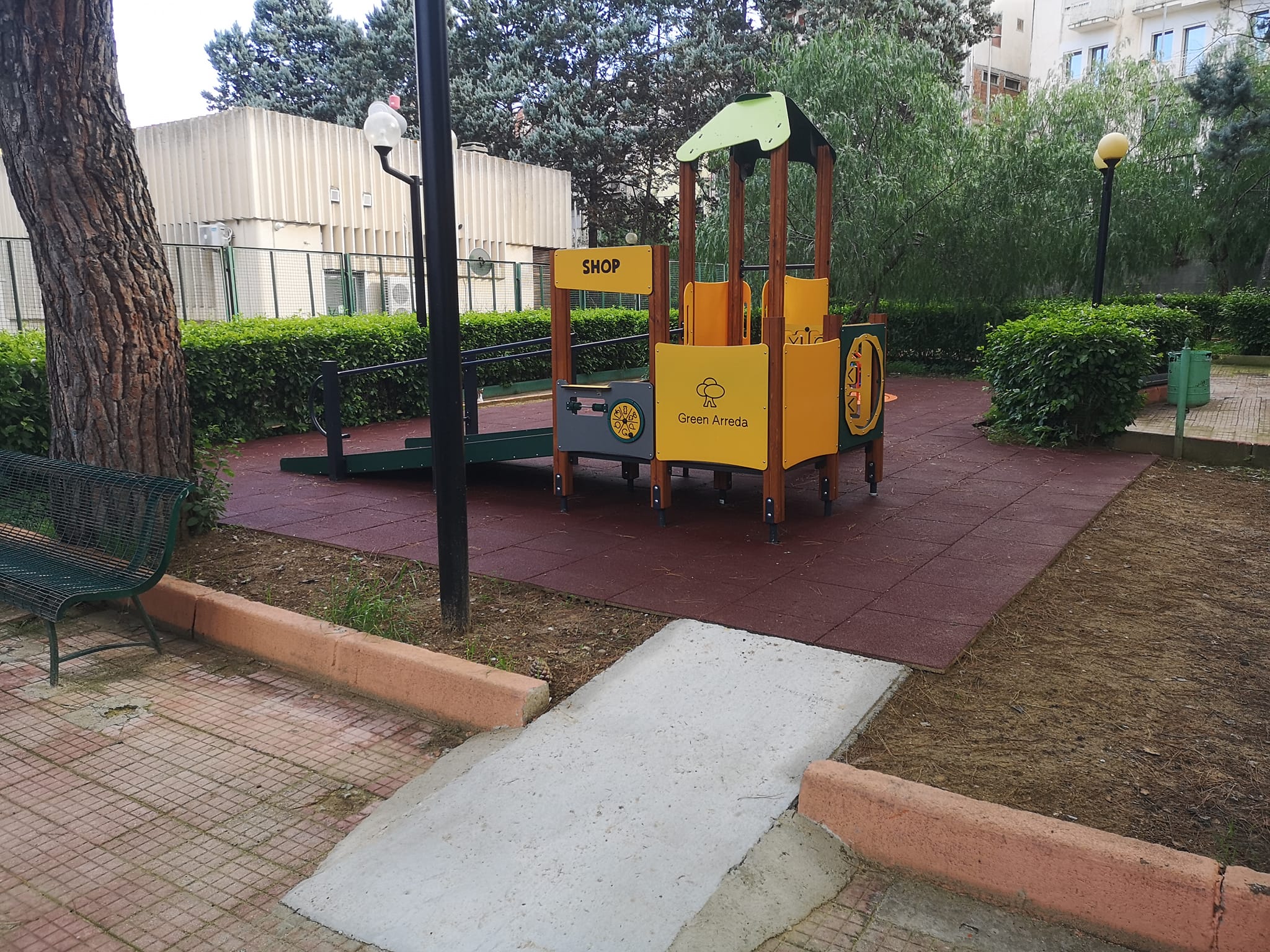 Campofranco. Il 19 dicembre piantumazione della talea dell’Albero di Falcone nella villa “Falcone – Borsellino”