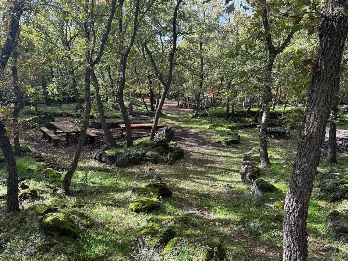 Etna Nord, Sciarone bene comune: incontro pubblico con FAI, Regione, Università e INGV