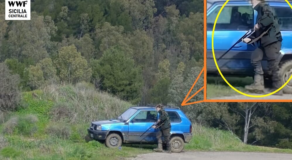 Caltanissetta, il WWF denuncia escalation di illegalità venatorie e rischi per la sicurezza pubblica