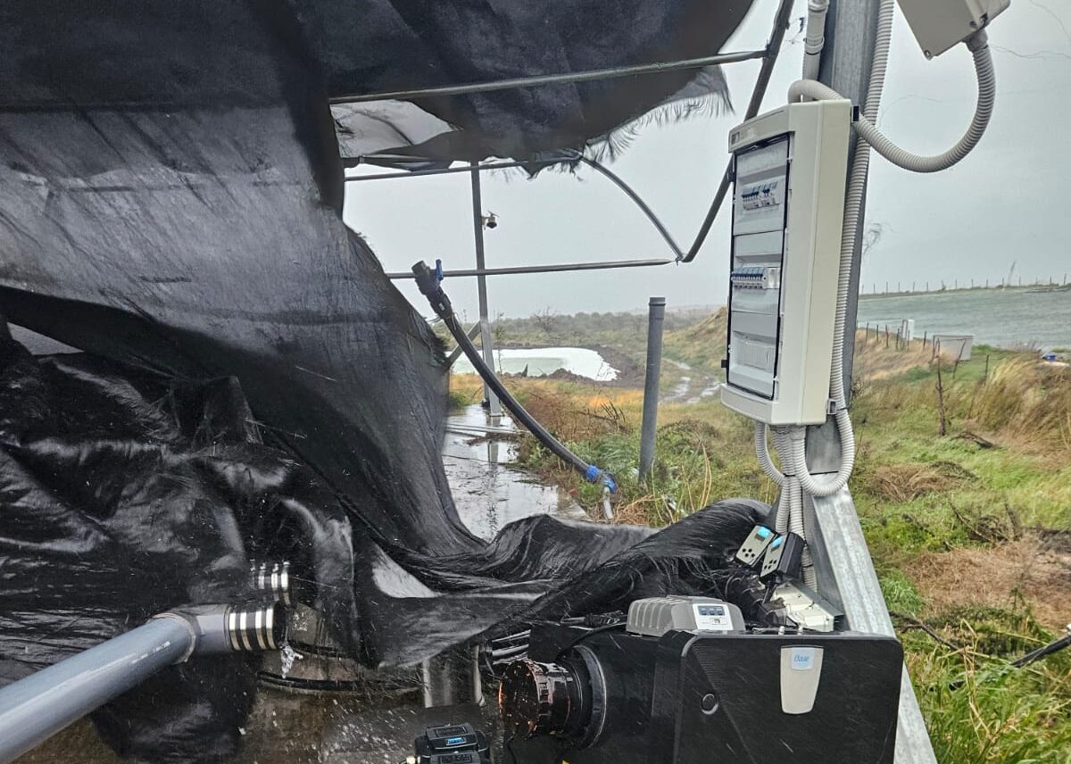 Maltempo, Coldiretti Sicilia: “Danni per migliaia di euro”